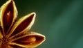 Spice ingredients close up image with green background