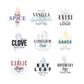 Spice logo design set, vanilla, anise, clove, ginger, soy sauce, bay leaf, garlic, rosemary badge can be used for