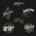 Spice logo set in vintage style. Retro hand drawn