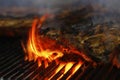 Spice marinated beef spare ribs on a barbecue grill Royalty Free Stock Photo