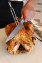 Spice marinated and oven roasted turkey on a white board, ready to carve for festive season Royalty Free Stock Photo