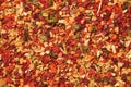 Spice mix for cooking dishes. Flakes of red hot pepper, paprika, garlic, onion. Dried seasoning closeup. Royalty Free Stock Photo