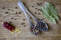 Spice mix and peppercorns in metal spoons, one broken pod of hot red pepper with seeds and dried bay leafs Royalty Free Stock Photo