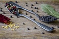 Spice mix and peppercorns in metal spoons, one broken pod of hot red pepper with seeds and dried bay leafs Royalty Free Stock Photo