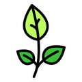 Spice oregano icon vector flat Royalty Free Stock Photo