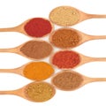 Spice Selection Royalty Free Stock Photo