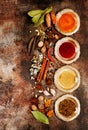 Spice Selection, flat lay Royalty Free Stock Photo