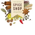 Spice shop paper emblem with different spices Royalty Free Stock Photo