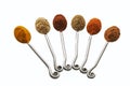 Spice Teaspoons