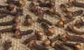 spice texture of fresh dried cloves on vintage background