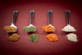 Spice variations on colorful background Royalty Free Stock Photo