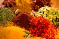 Spice. Various indian spices and herbs colorful background. Assortment of seasonings