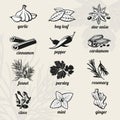 Spice vector icons set