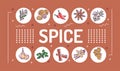 Spice word lettering typography. Cooking ingredient. Infographics with linear icons on brown background. Creative idea concept.