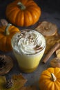 Spiced autumn pumpkin latte drink with cinnamon and cream foam top view with colorful autumn drink