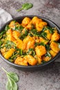 Spiced curry dish made with potatoes and spinach saag aloo closeup on the plate. Vertical Royalty Free Stock Photo