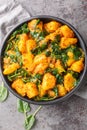 Spiced curry dish made with potatoes and spinach saag aloo closeup on the plate. Vertical top view Royalty Free Stock Photo