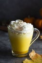 Spiced golden milk pumpkin autumn latte drink milkshake with cream foam dark black background