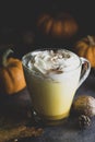 Spiced golden milk pumpkin autumn latte drink milkshake with cream foam dark black background Royalty Free Stock Photo