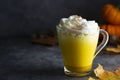 Spiced golden milk pumpkin autumn latte drink milkshake with cream foam dark black background Royalty Free Stock Photo