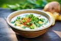 spiced potato raita with whole green chilis garnish Royalty Free Stock Photo