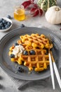 Spiced pumpkin waffles with whipped cream, honey and blueberries on a gray plate on a gray concrete background.