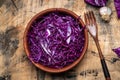Spiced Red cabbage Royalty Free Stock Photo
