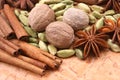 Spices Royalty Free Stock Photo