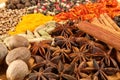 Spices. Royalty Free Stock Photo