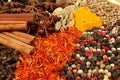 Spices. Royalty Free Stock Photo