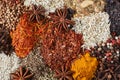 Spices. Aromatic Indian spices as background. Spices and herbs