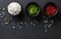 Diverse spices in plates on dark background, closeup, copy space