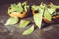spices of bay leaf in rural style on a dark background/bay leaf on a dark wooden surface. selective focus Royalty Free Stock Photo