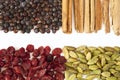 Spices and berries for gin tonic Royalty Free Stock Photo