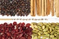 Spices and berries for gin tonic and spoon Royalty Free Stock Photo