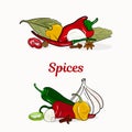 Spices in border. Hand drawing. Garlic, hot pepper