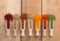 Spices Royalty Free Stock Photo