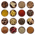 Spices Collection XXXL Royalty Free Stock Photo