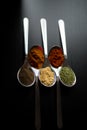 Spices colored in silver spoons Royalty Free Stock Photo