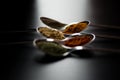 Spices colored in silver spoons Royalty Free Stock Photo