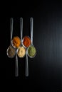 Spices colored in silver spoons Royalty Free Stock Photo