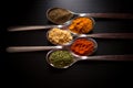 Spices colored in silver spoons Royalty Free Stock Photo