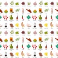 Spices condiments seamless pattern backgroun seasoning food herbs decorative healthy organic relish flavouring vegetable