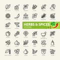 Spices, condiments and herbs - minimal thin line web icon set. Outline icons collection Royalty Free Stock Photo