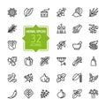 Spices, condiments and herbs - minimal thin line web icon set. Outline icons collection Royalty Free Stock Photo