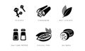 Spices and condiments icons set, cloves, cinnamon, bay leaves, salt and pepper, cocoa pod, nutmeg black badges vector