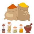 Seasoning food spicy herbs natural healthy spices condiments organic vegetable vector ingredient.