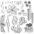 Spices for dessert, and baking.Vector set.