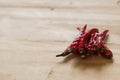 Spices - dried red hot chilli chillies pepper Royalty Free Stock Photo