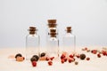Spices and empty, small glass bottles Royalty Free Stock Photo